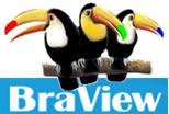 Braview